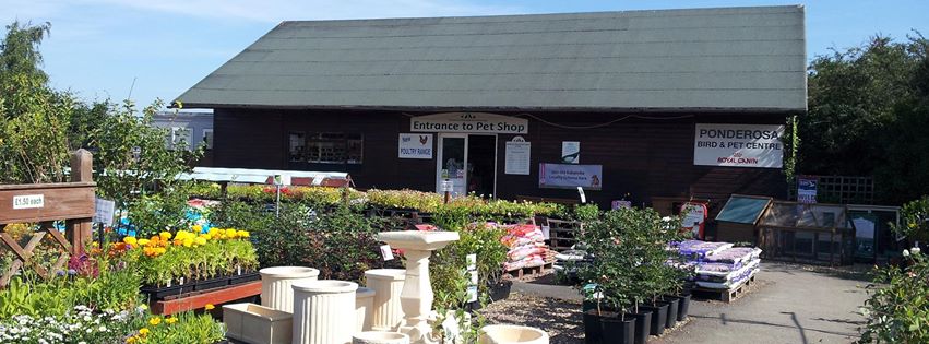 ponderosa bird & pet centre ltd